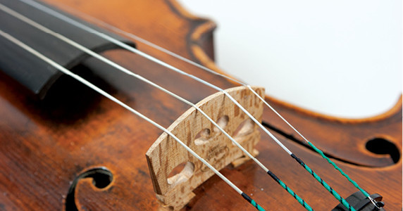 violin strings and bridge