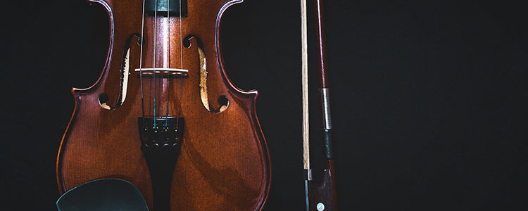 violin and bow